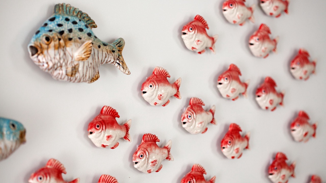 Photo of Others in Sully-sur-Loire