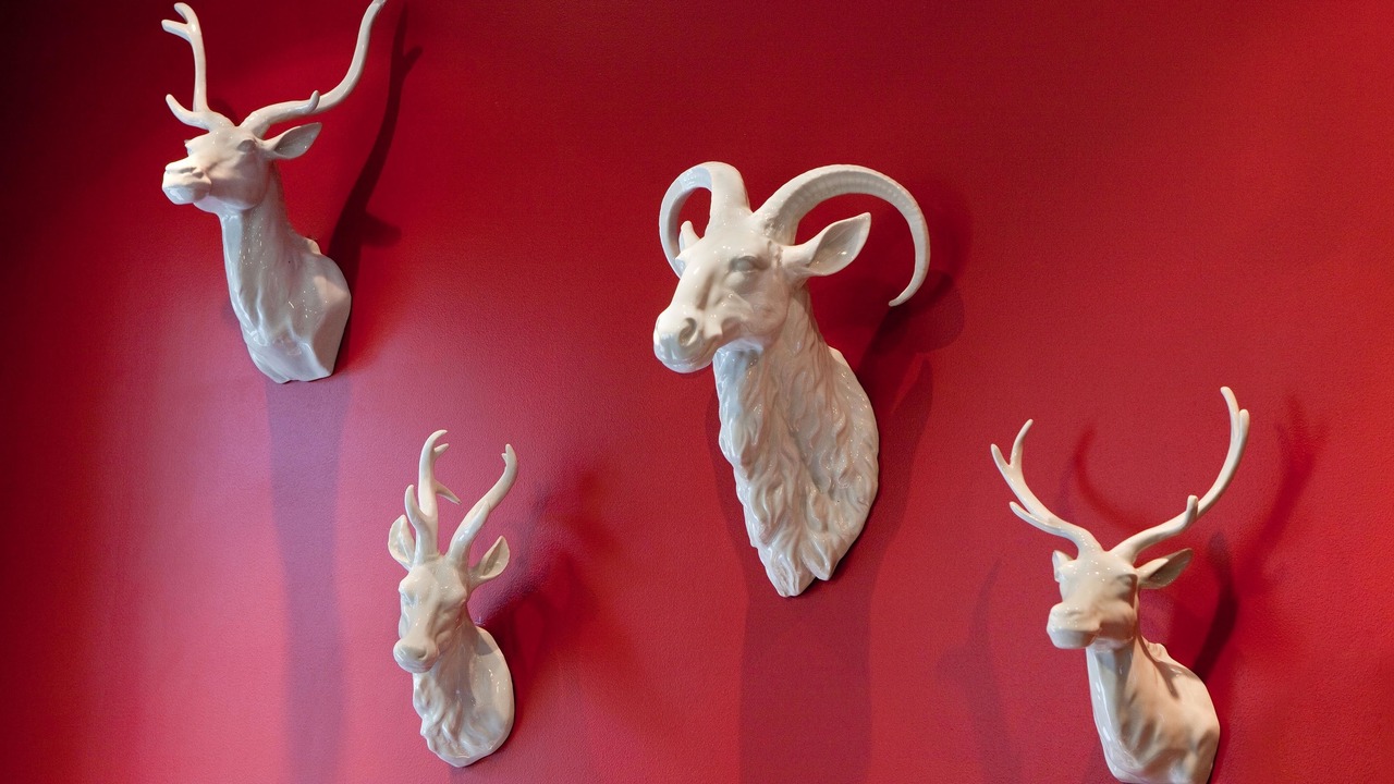 Photo of Others in Sully-sur-Loire