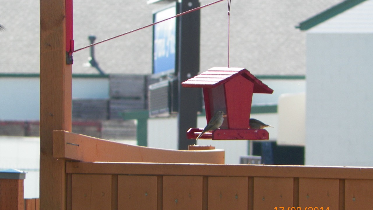 Photo of Outdoor in Ruthven