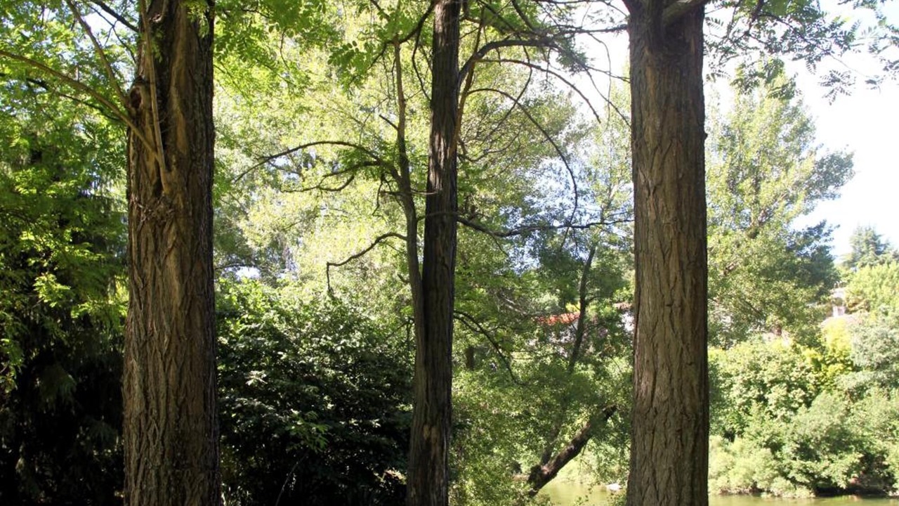 Photo of Outdoor in Cazilhac