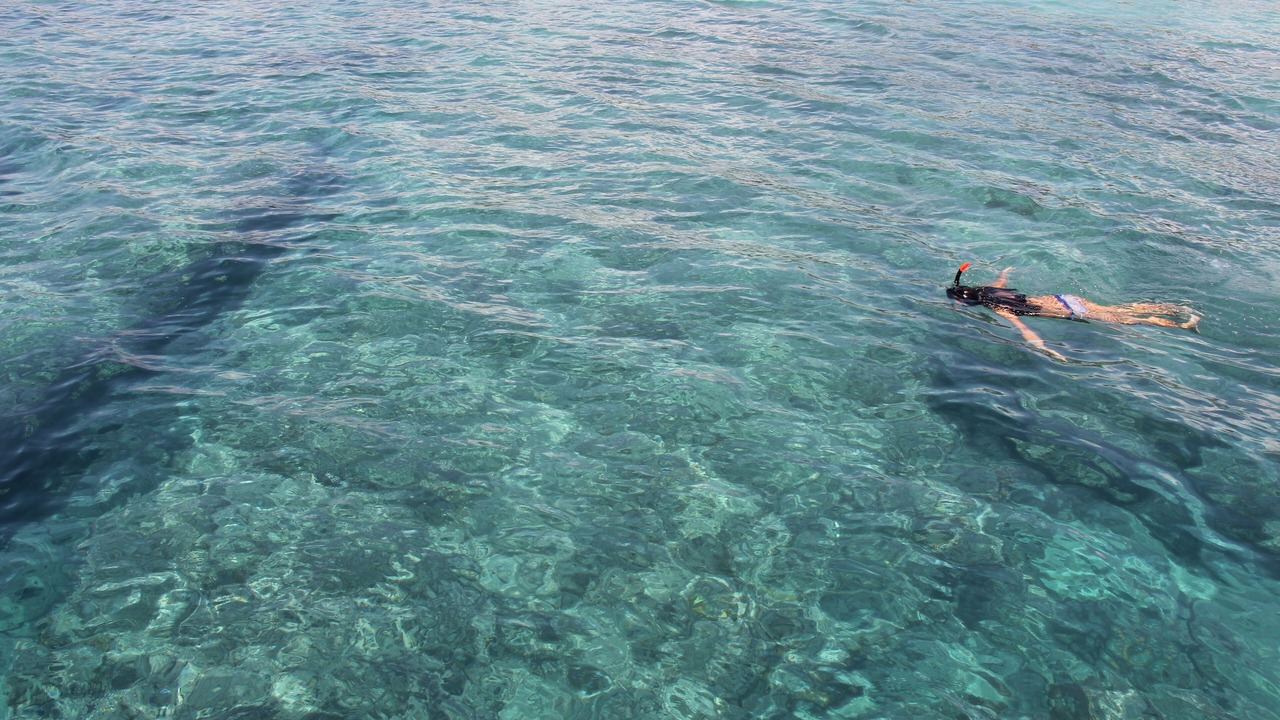 Photo of Others in Gili Meno