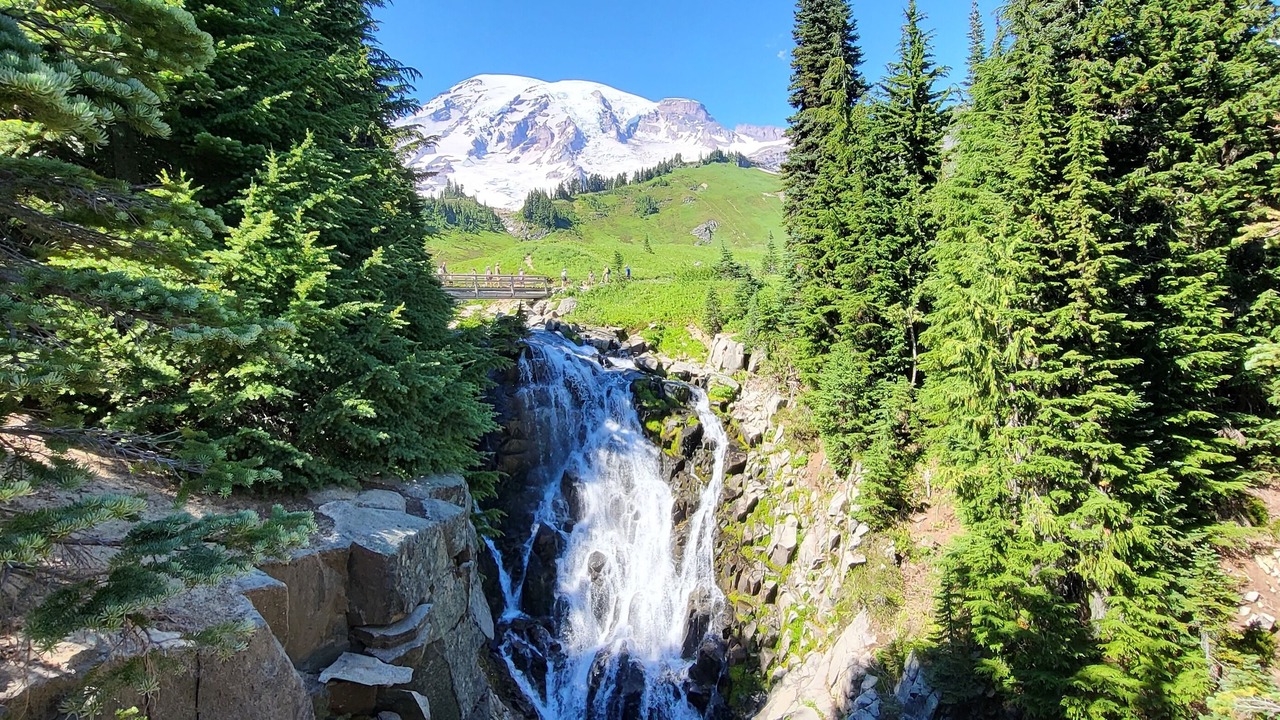 Photo of Others in Packwood