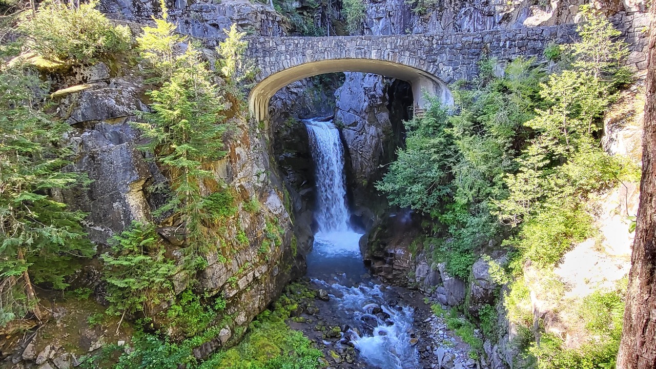 Photo of Outdoor in Packwood