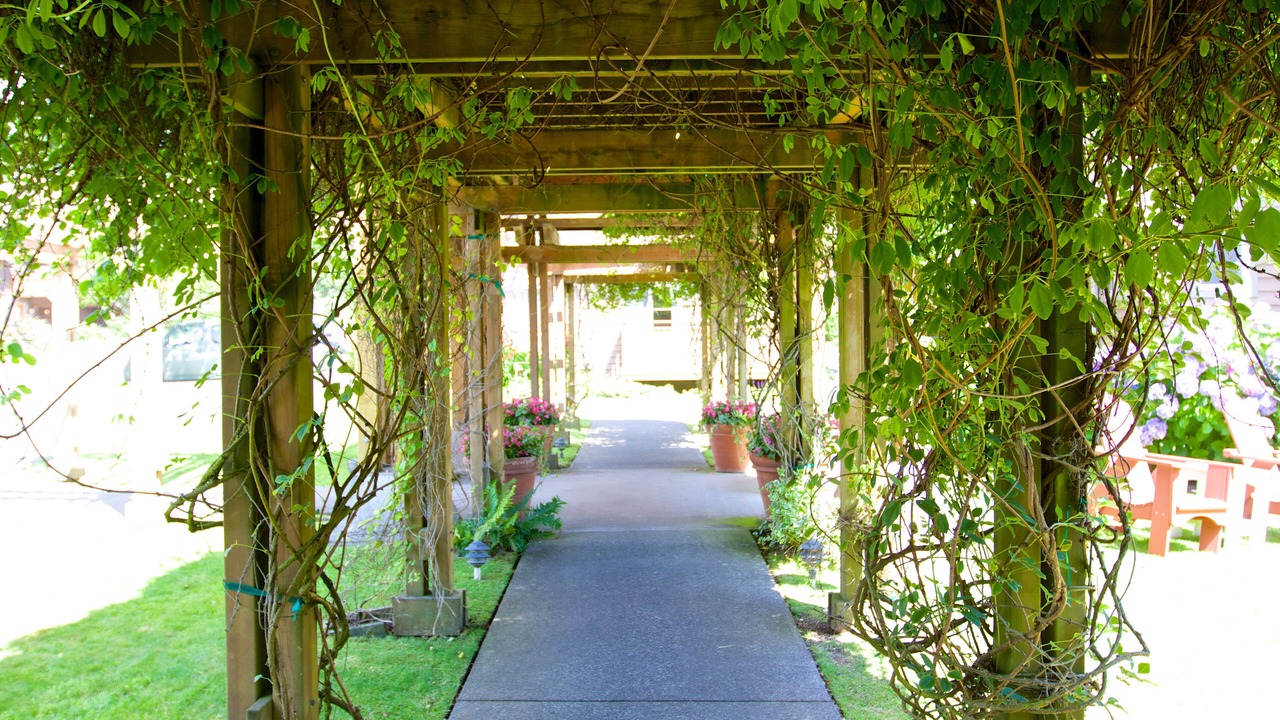 Photo of Outdoor in Tolovana Park
