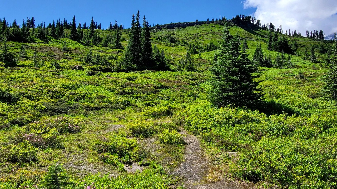 Photo of Outdoor in Eatonville