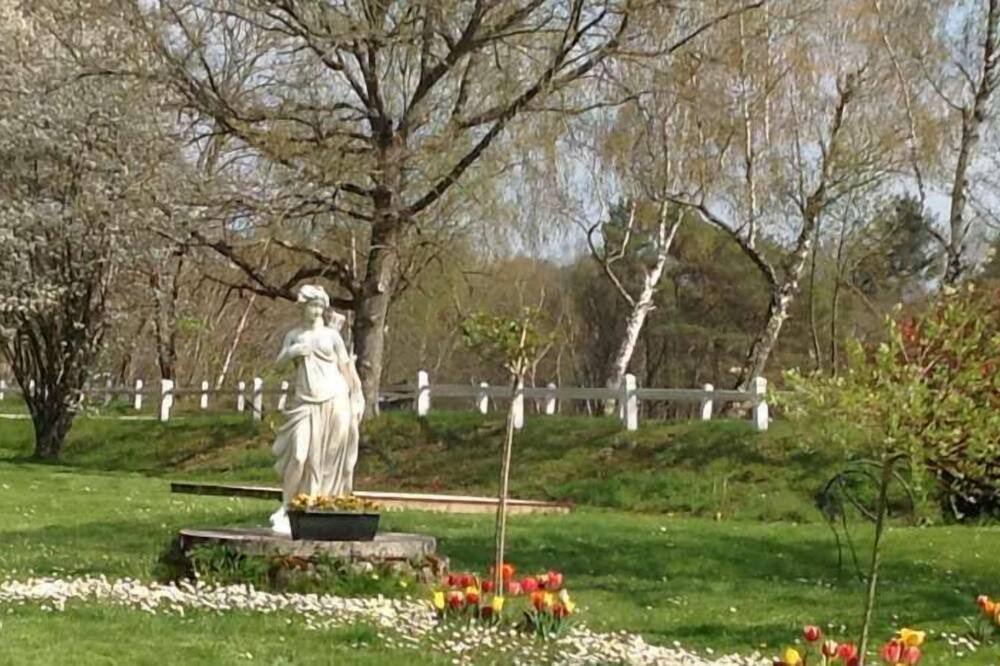 Photo of Outdoor in Nouan-le-Fuzelier