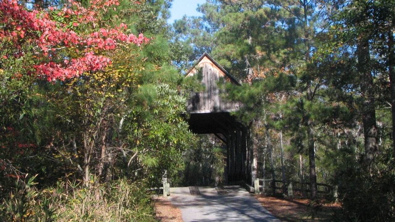 Photo of Outdoor in Kitty Hawk