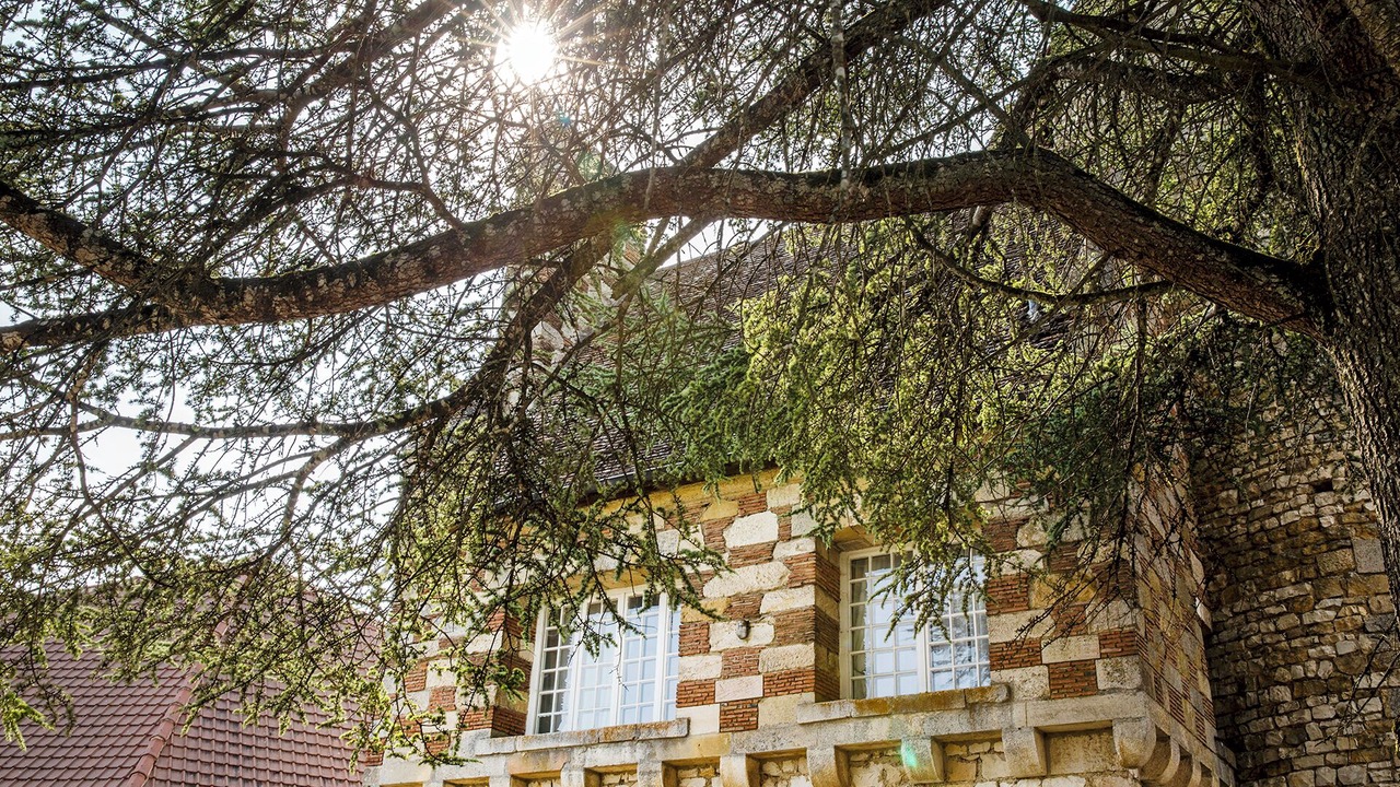 Photo of Outdoor in Vigneulles-les-Hattonchatel