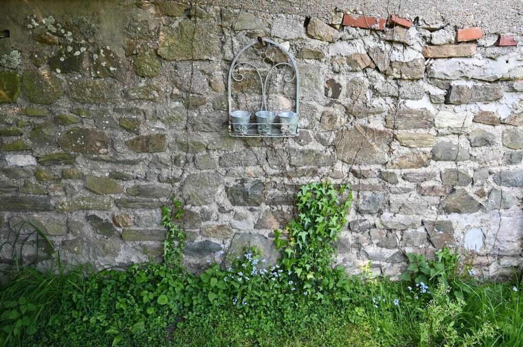 Photo of Outdoor in Quettehou