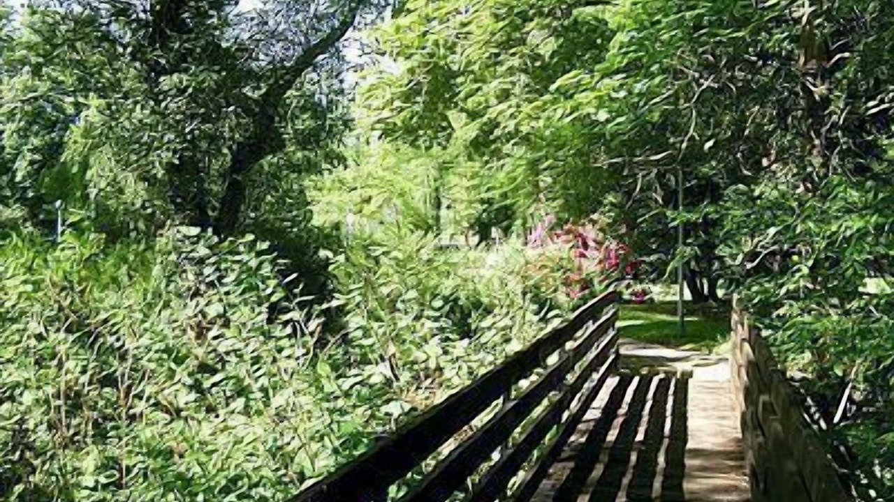 Photo of Outdoor in Saint-Bonnet-Troncais