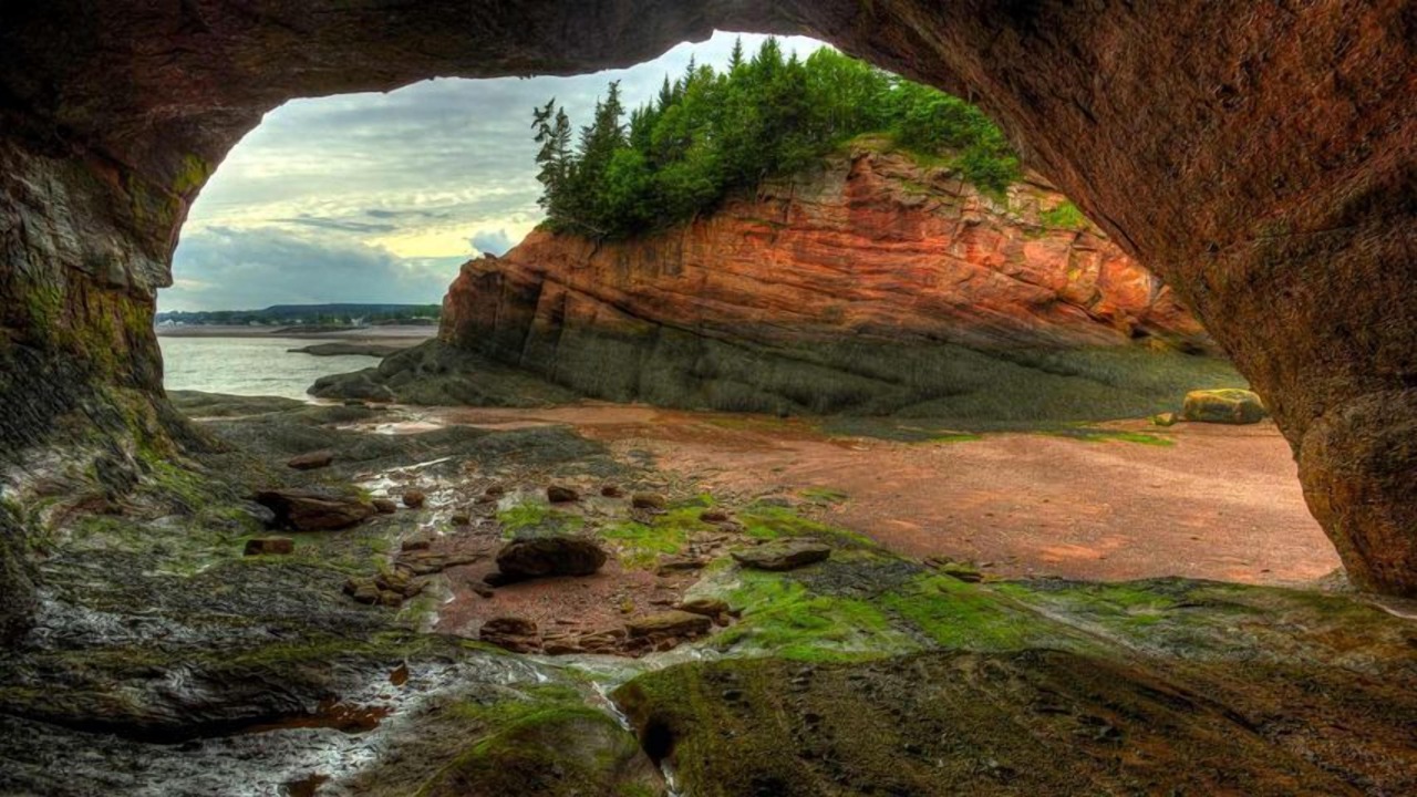 Photo of Others in St. Martins