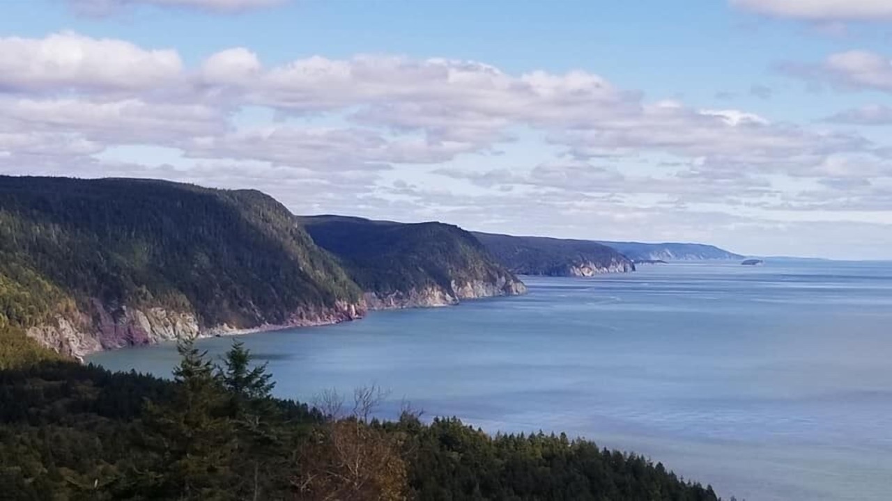 Photo of Others in St. Martins