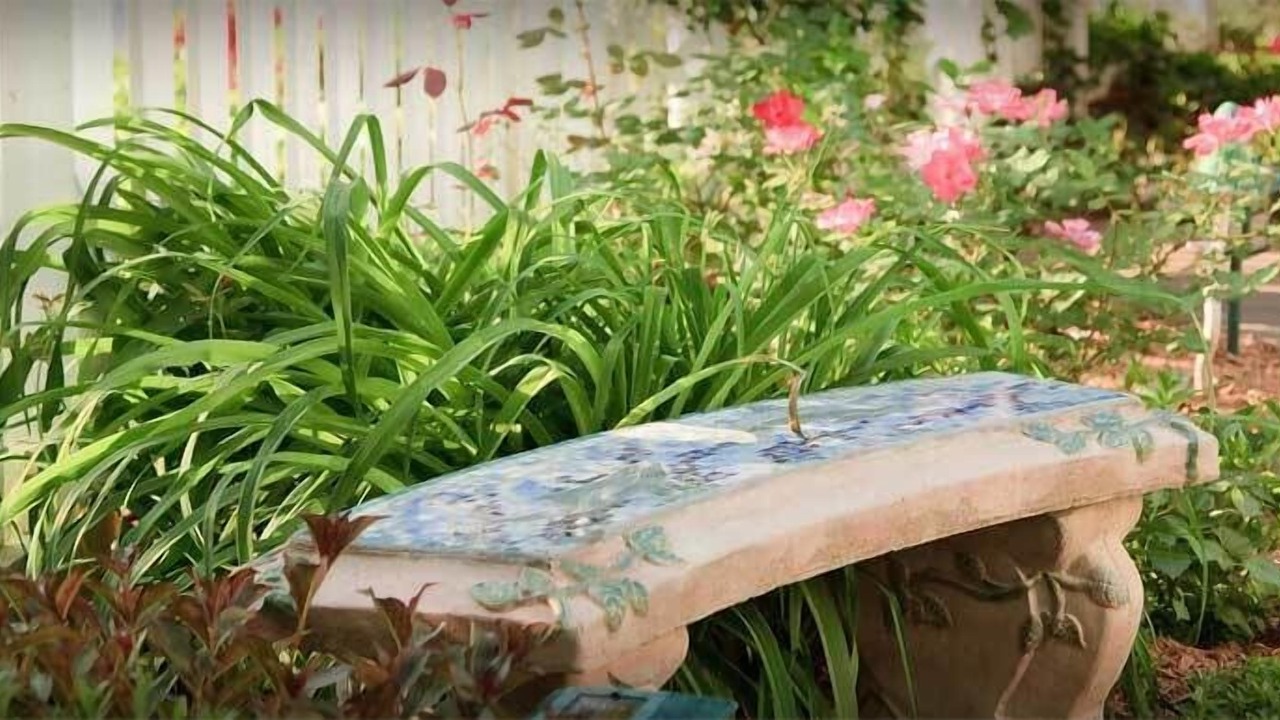 Photo of Outdoor in Northeast Virginia Beach