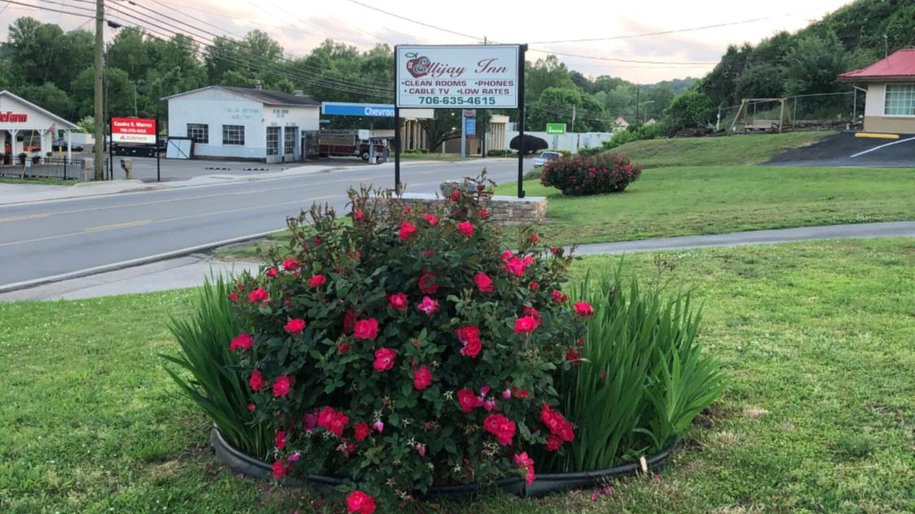 Photo of Outdoor in Ellijay