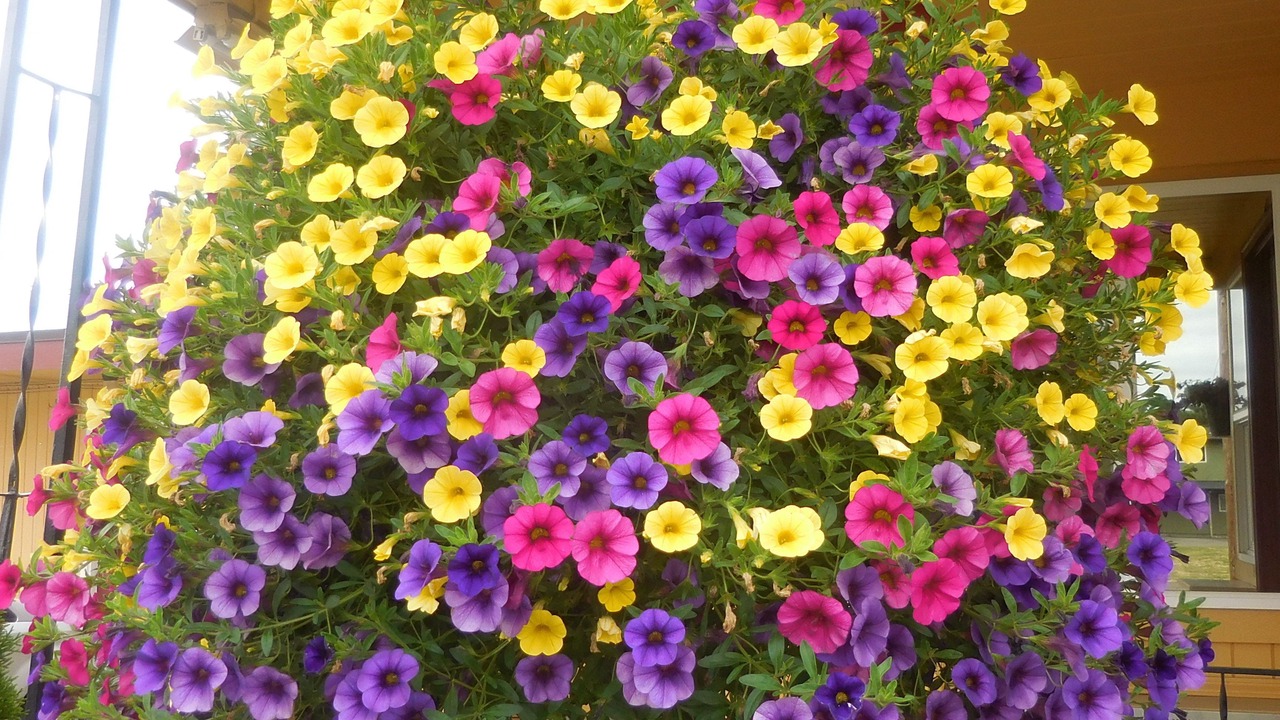 Photo of Outdoor in Corvallis