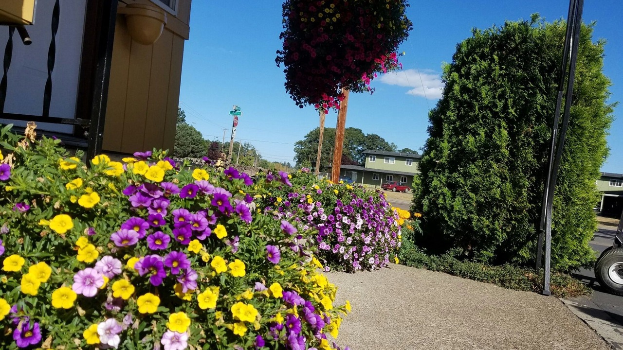 Photo of Outdoor in Corvallis