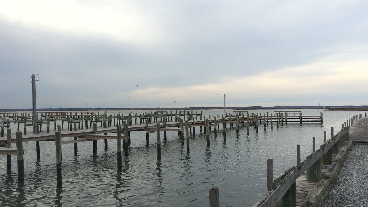 Photo of Outdoor in Chincoteague