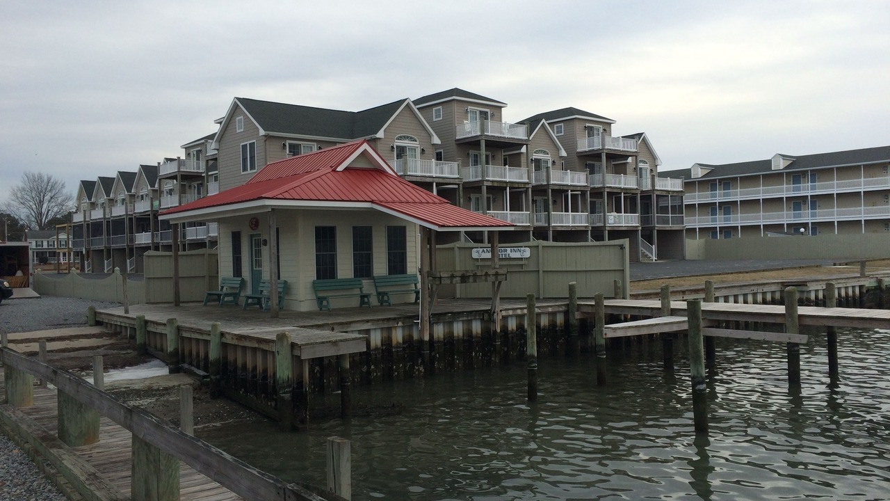 Photo of Outdoor in Chincoteague