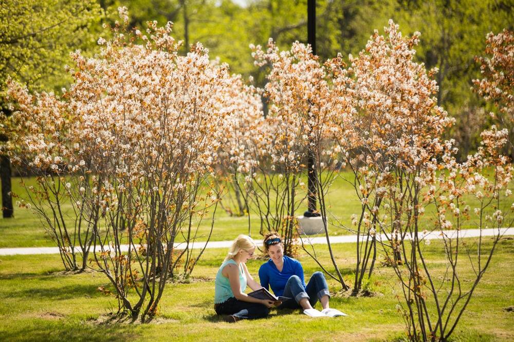 Photo of Outdoor in Saint John