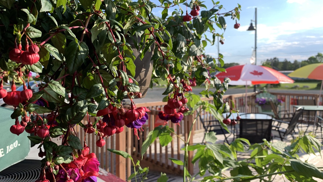 Photo of Patio Balcony in Bruce Mines