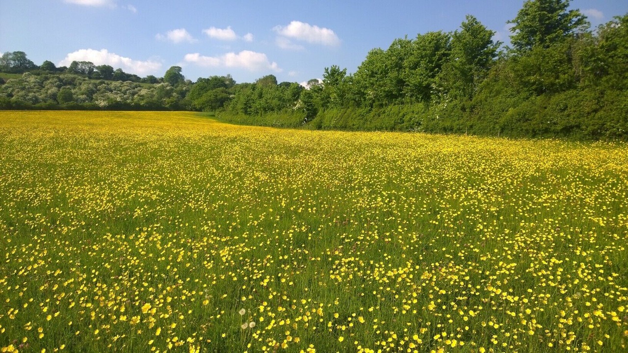 Photo of Others in Cameley