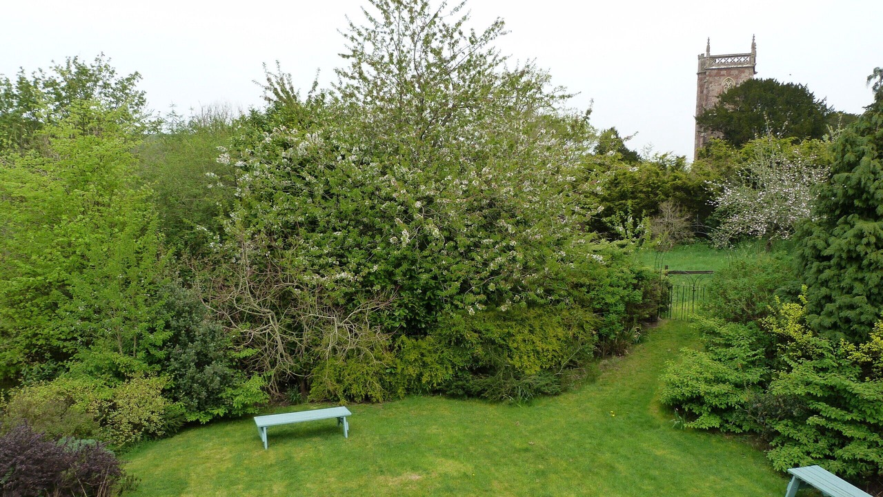 Photo of Others in Cameley