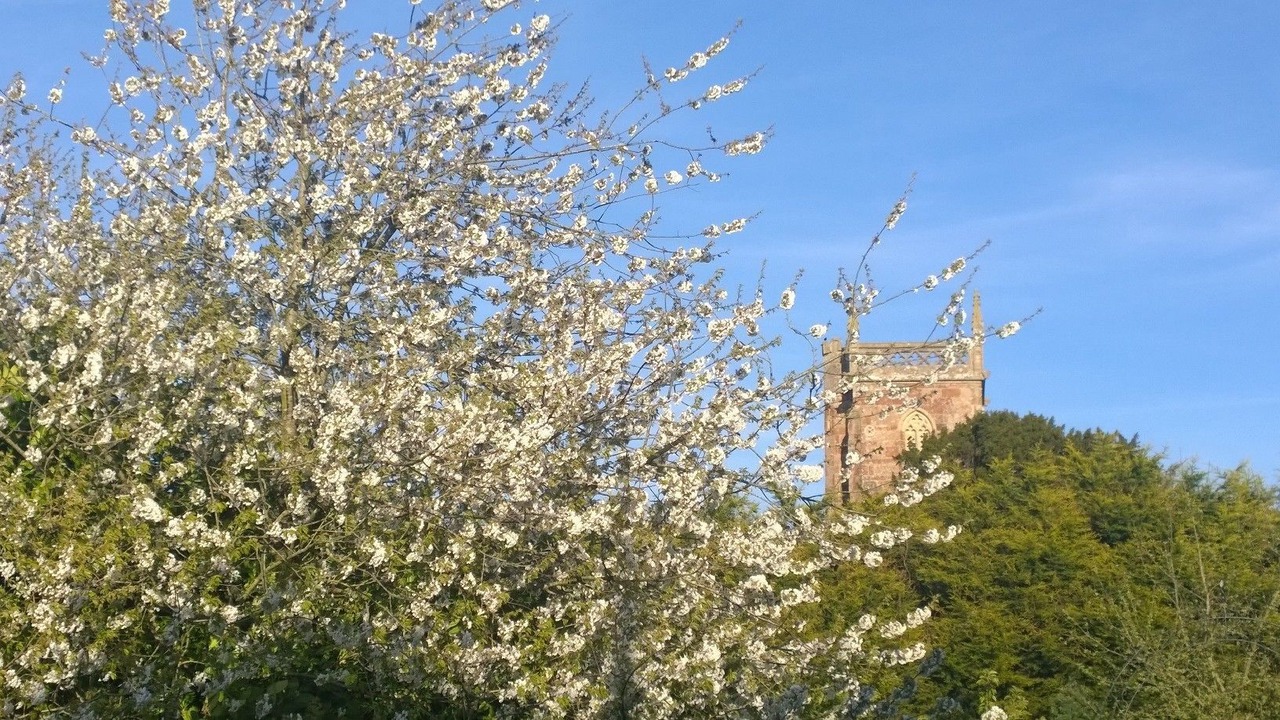 Photo of Others in Cameley