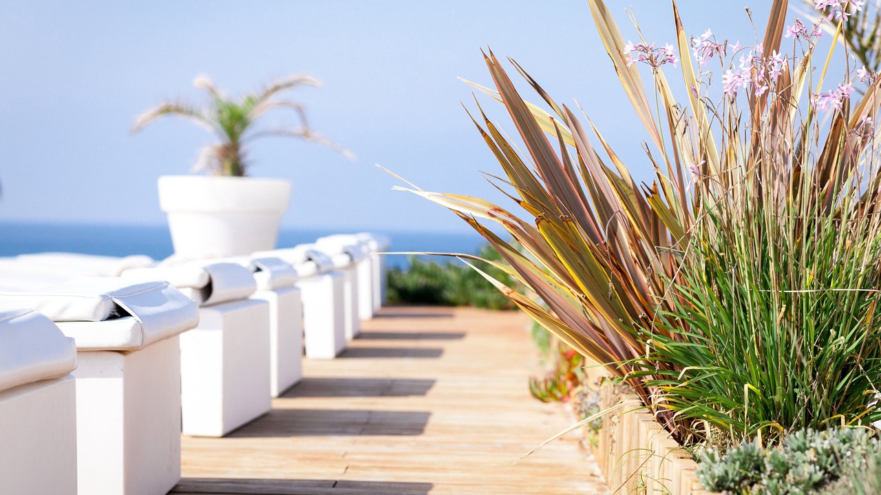 Photo of Outdoor in Biscarrosse Plage