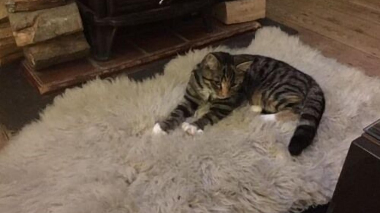 Photo of Others in Bacton