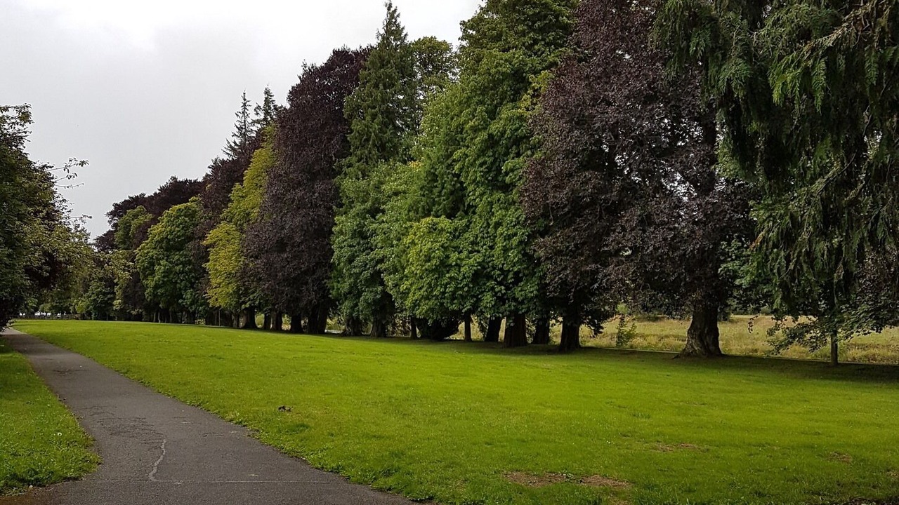 Photo of Outdoor in Builth Wells