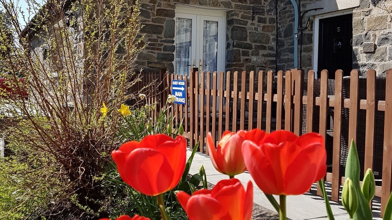 Photo of Outdoor in Builth Wells