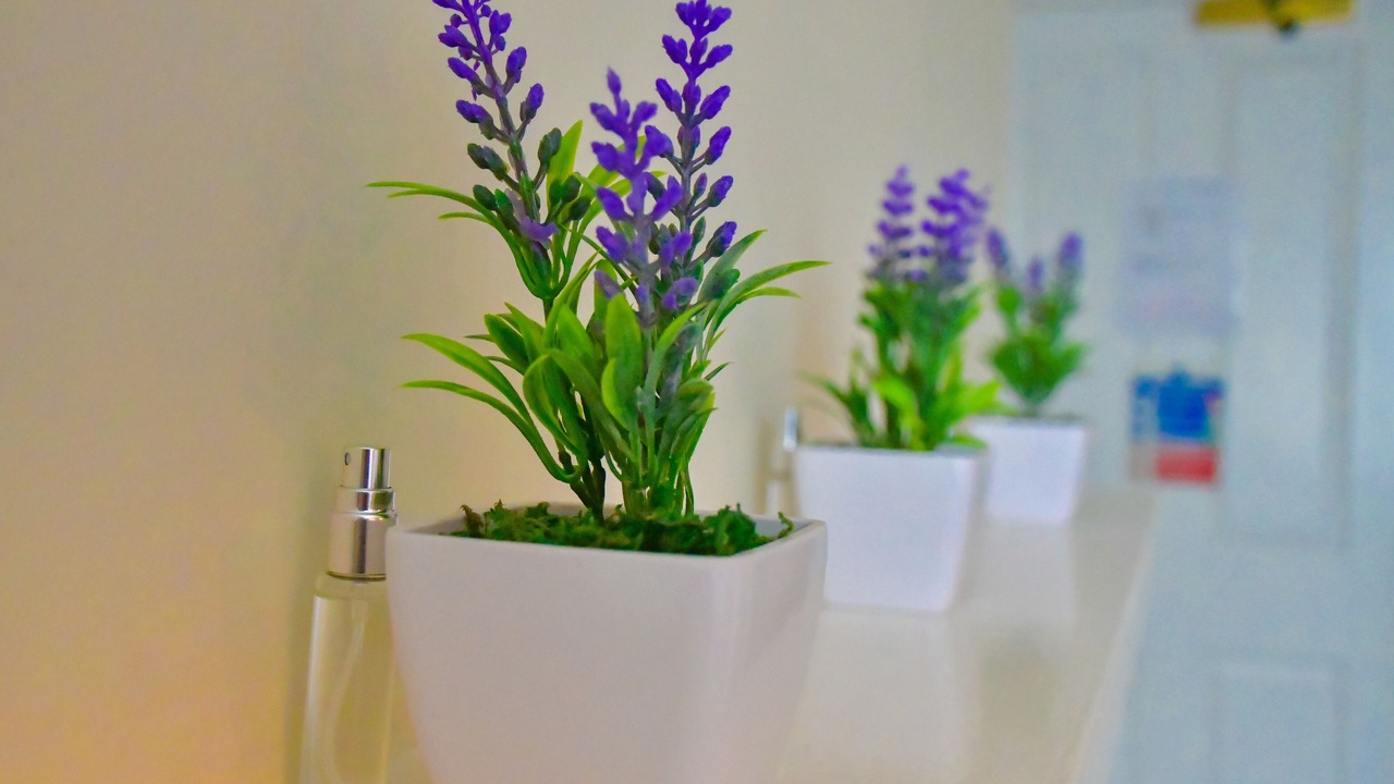 Photo of Bedroom in Godmanchester