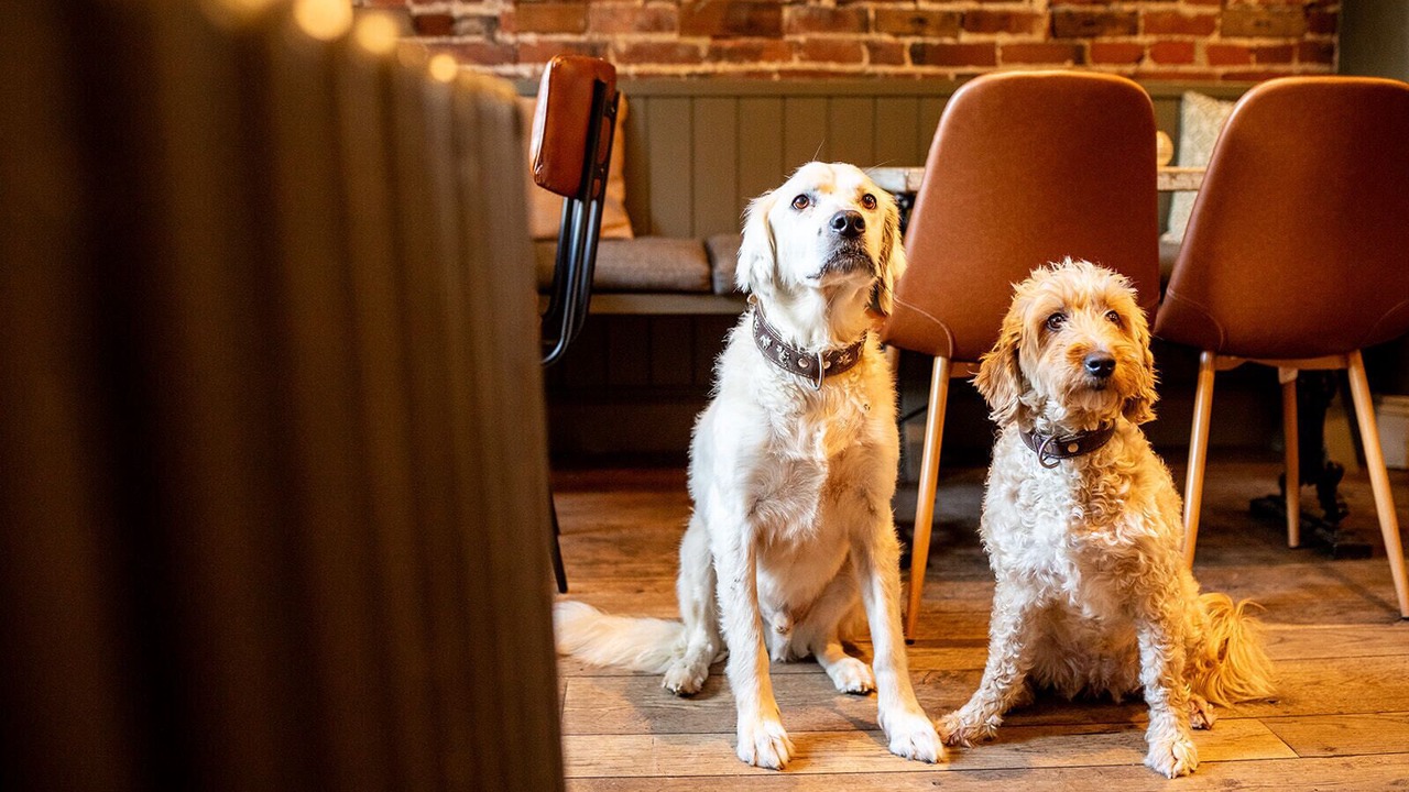 Photo of Others in Repton