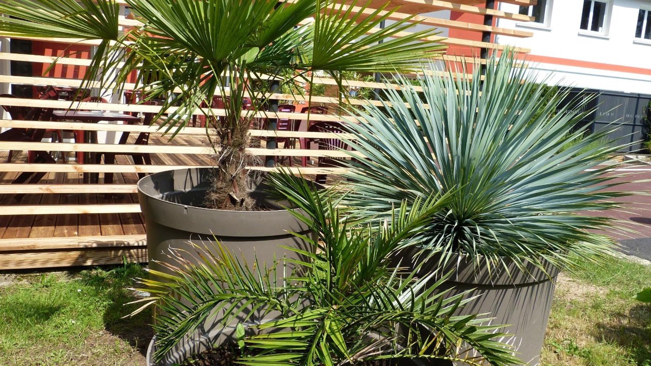 Photo of Outdoor in Mulsanne