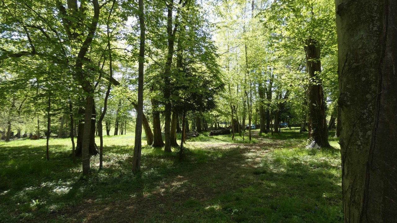 Photo of Outdoor in Saint-Saturnin