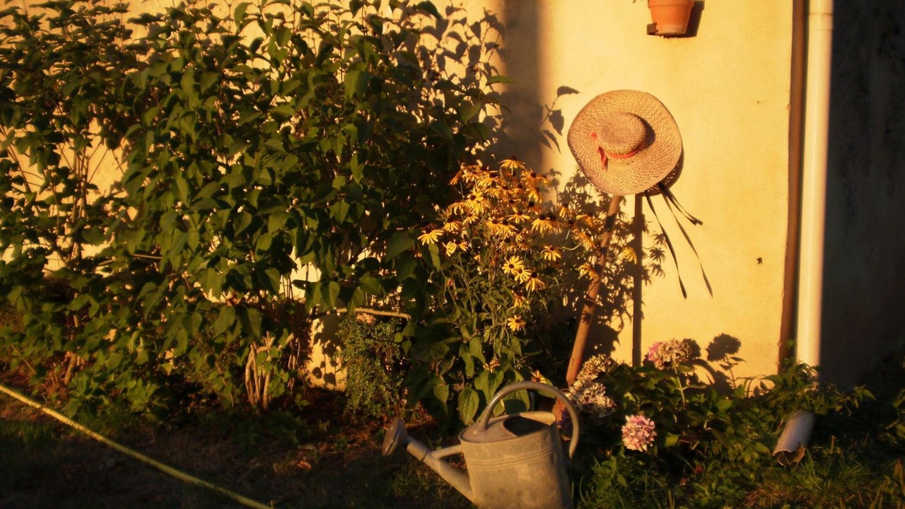 Photo of Outdoor in Saint-Saturnin
