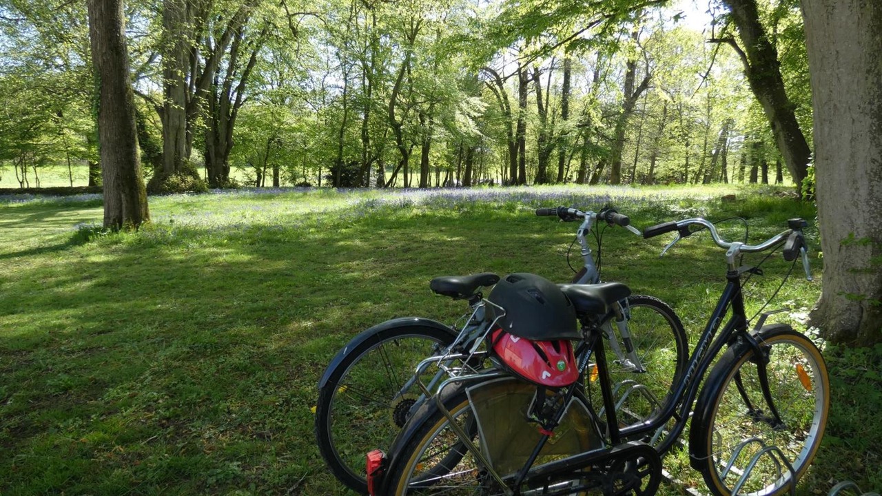 Photo of Outdoor in Saint-Saturnin