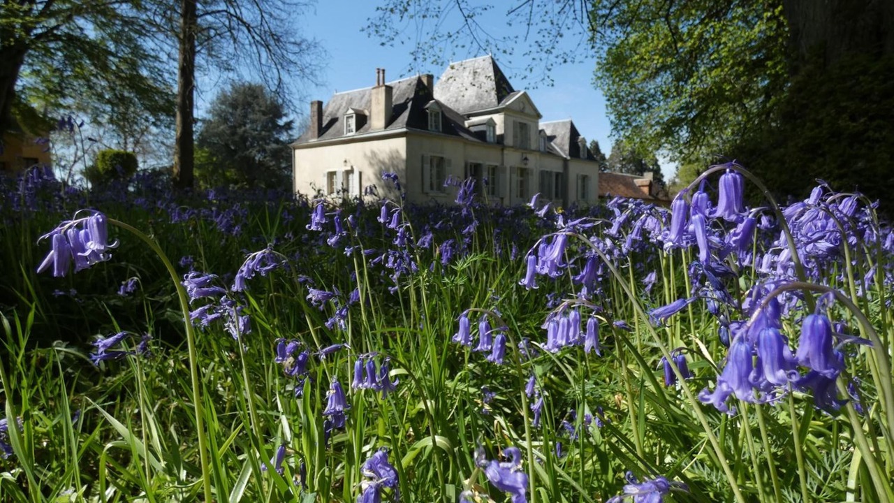 Photo of Outdoor in Saint-Saturnin