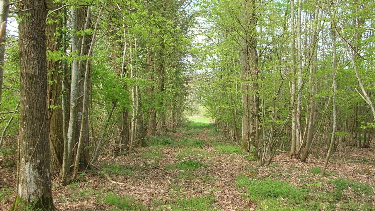 Photo of Outdoor in Saint-Saturnin