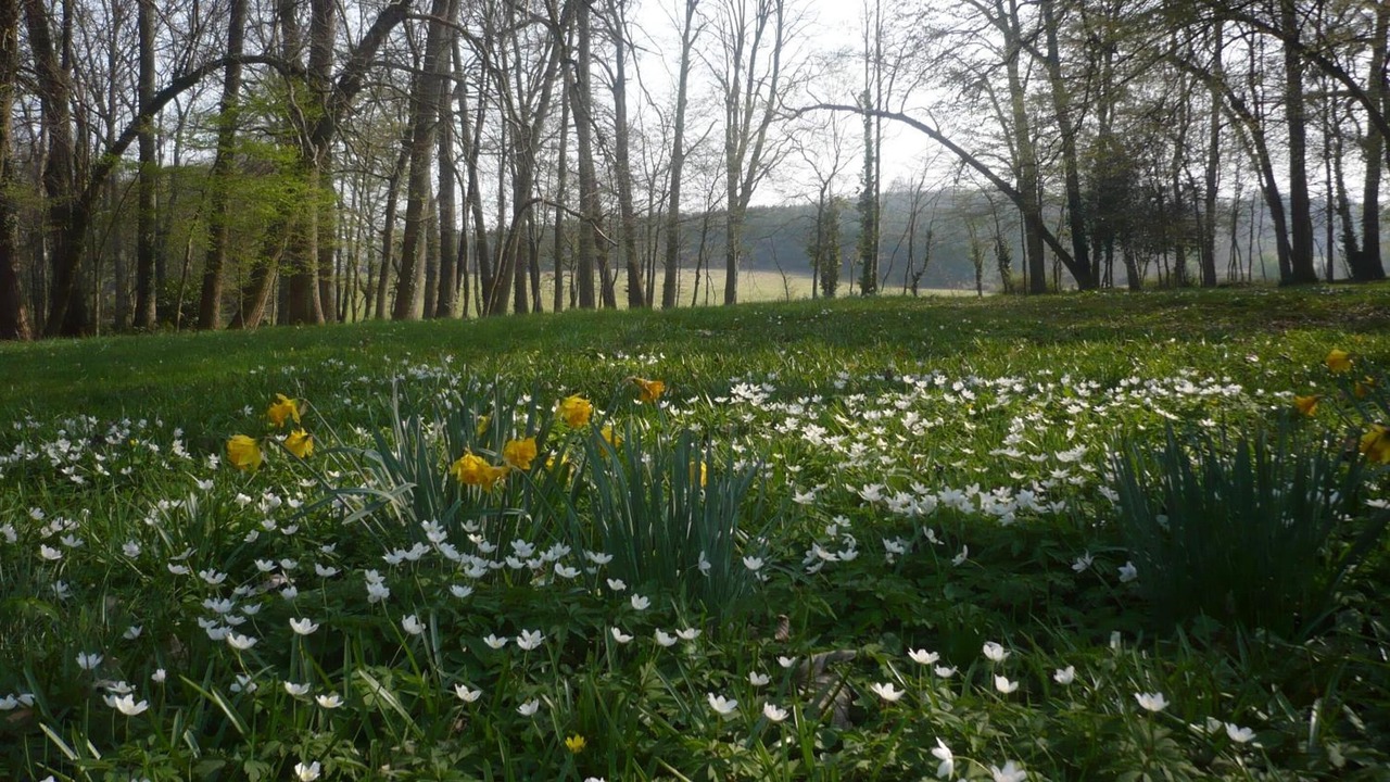 Photo of Outdoor in Saint-Saturnin