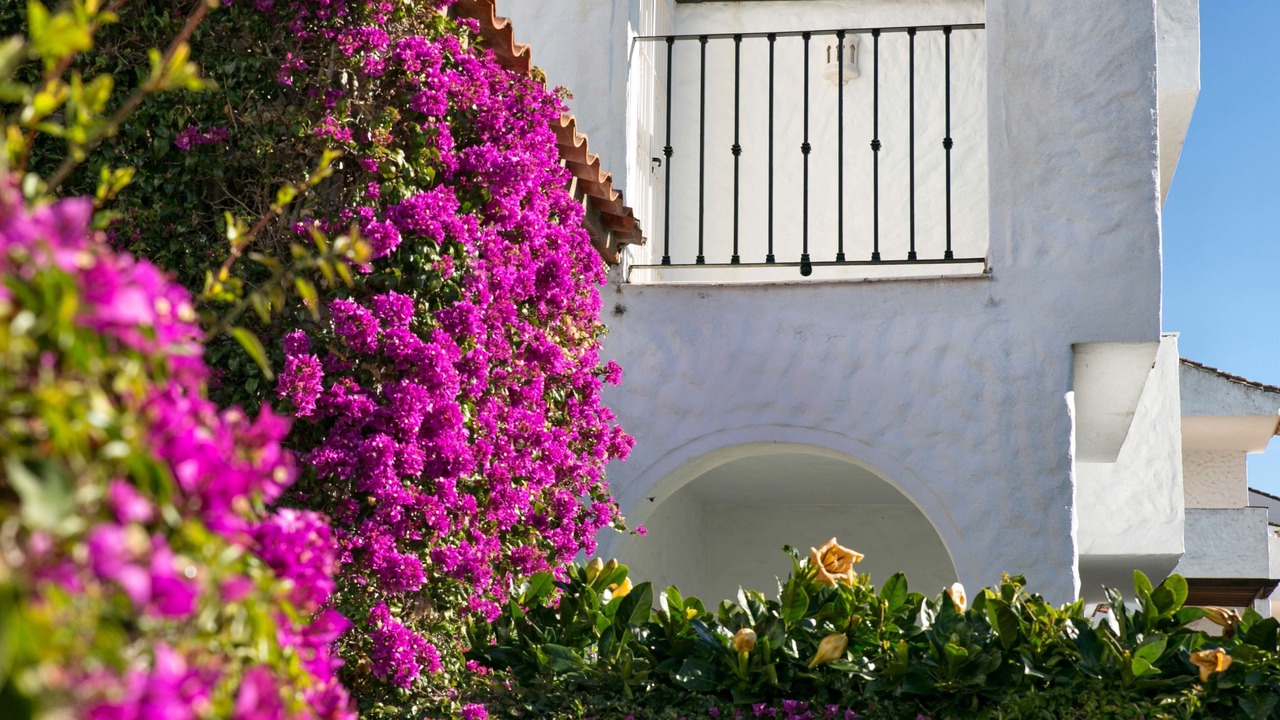 Photo of Outdoor in El Paraiso