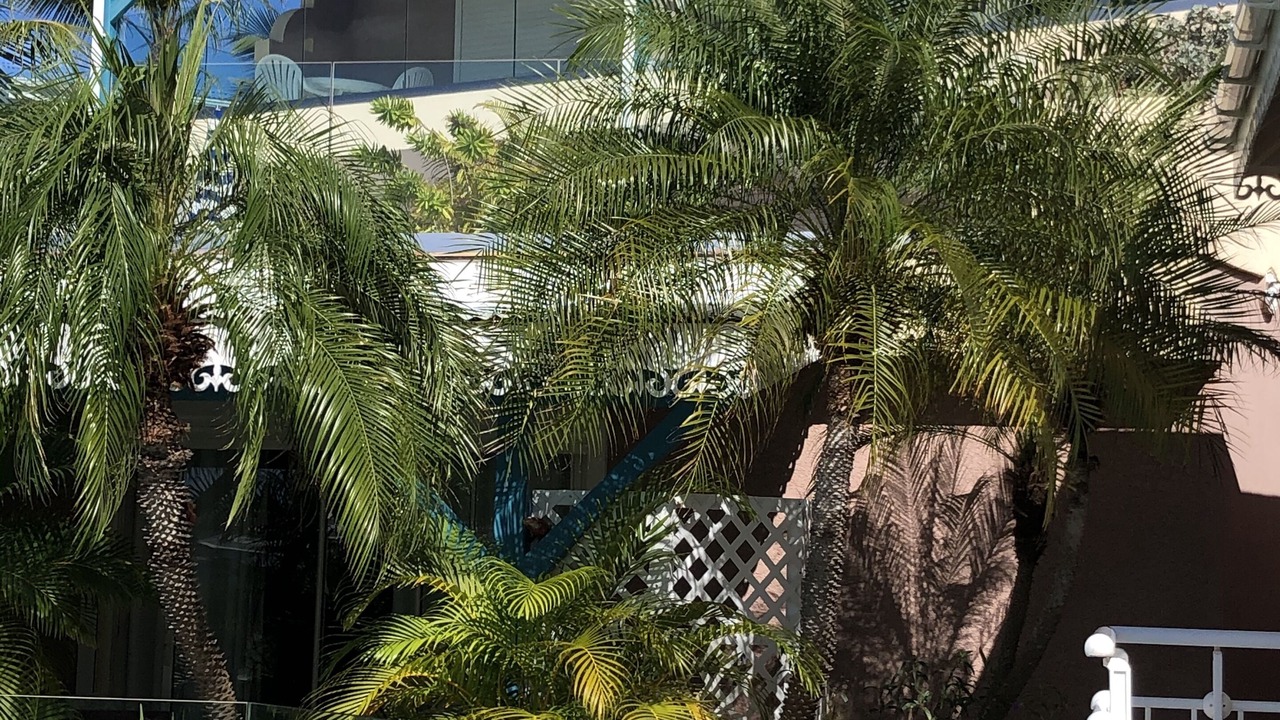 Photo of Outdoor in Oyster Pond