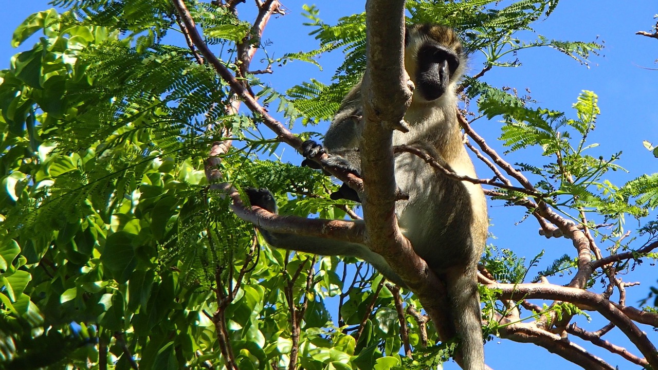 Photo of Outdoor in Oyster Pond