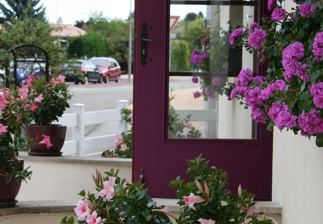 Photo of Outdoor in Saint-Remy