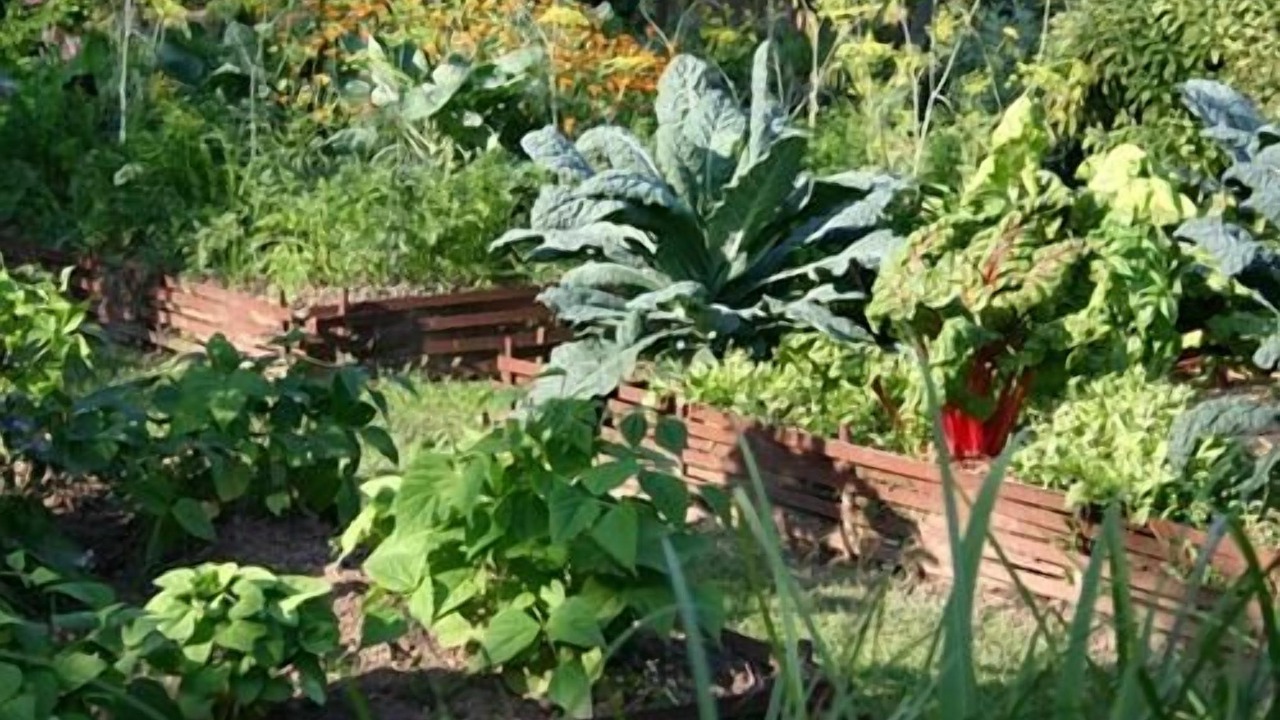 Photo of Outdoor in Brumath