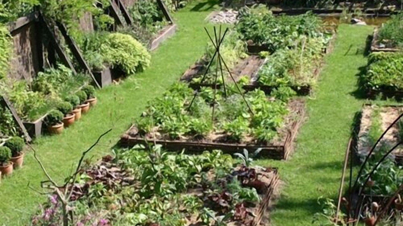 Photo of Outdoor in Brumath