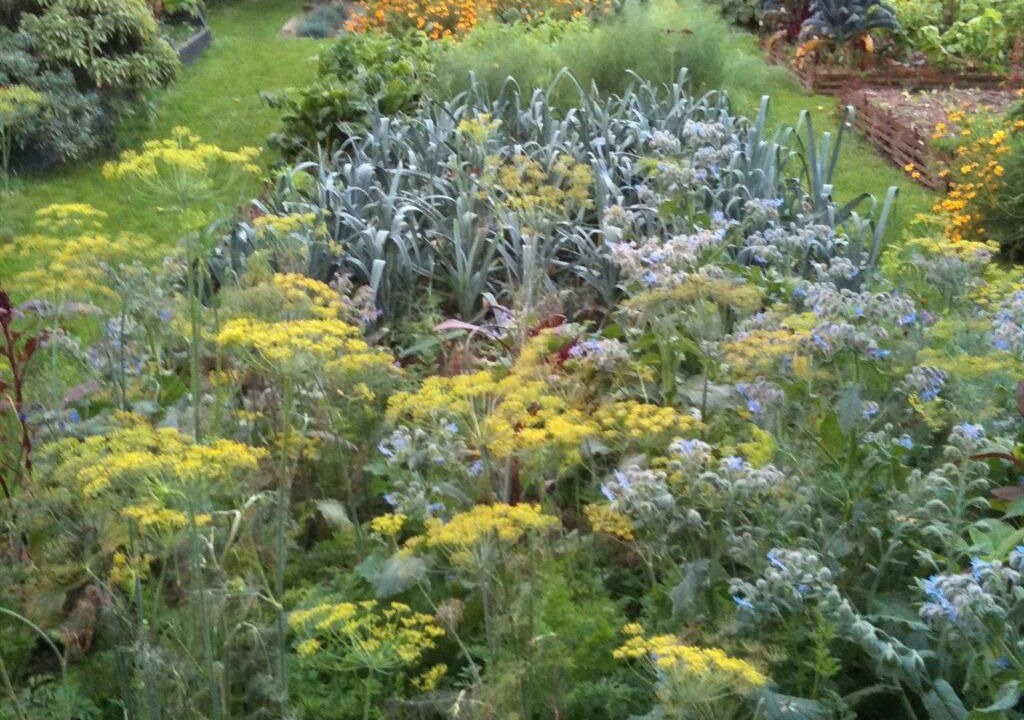 Photo of Outdoor in Brumath