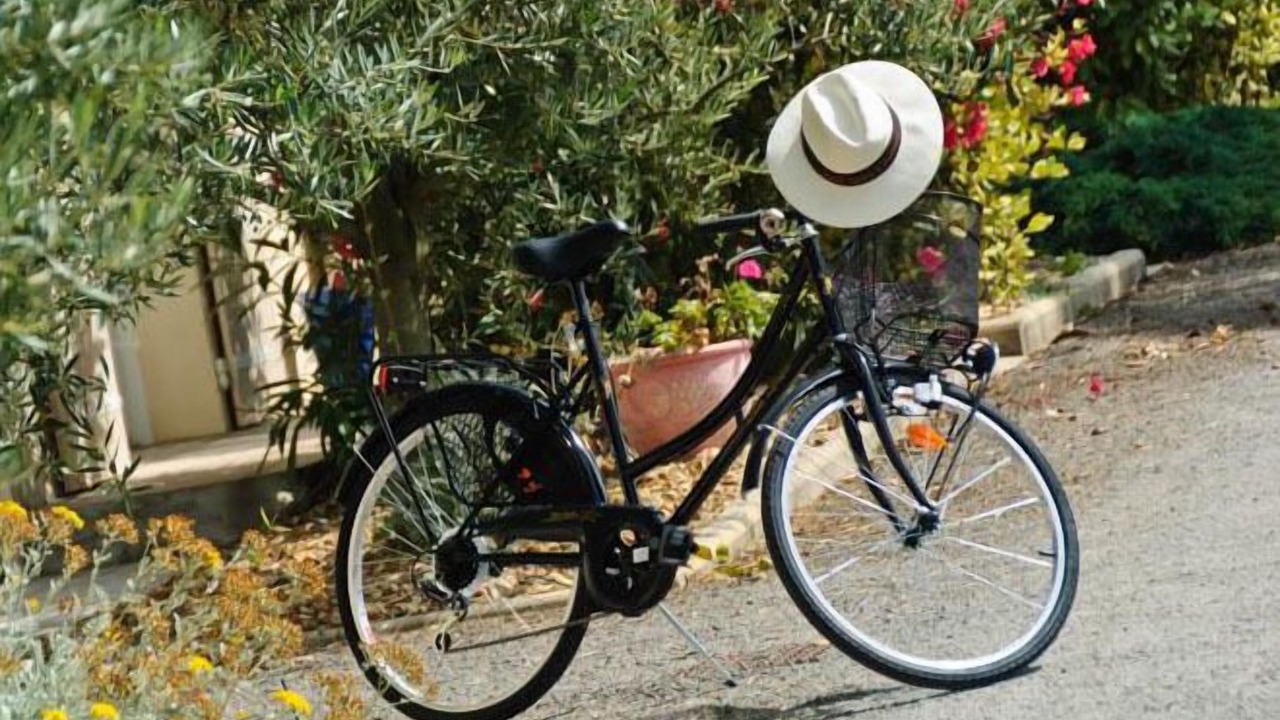 Photo of Outdoor in Cognac