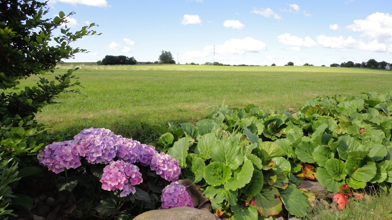 Photo of Outdoor in Vejle
