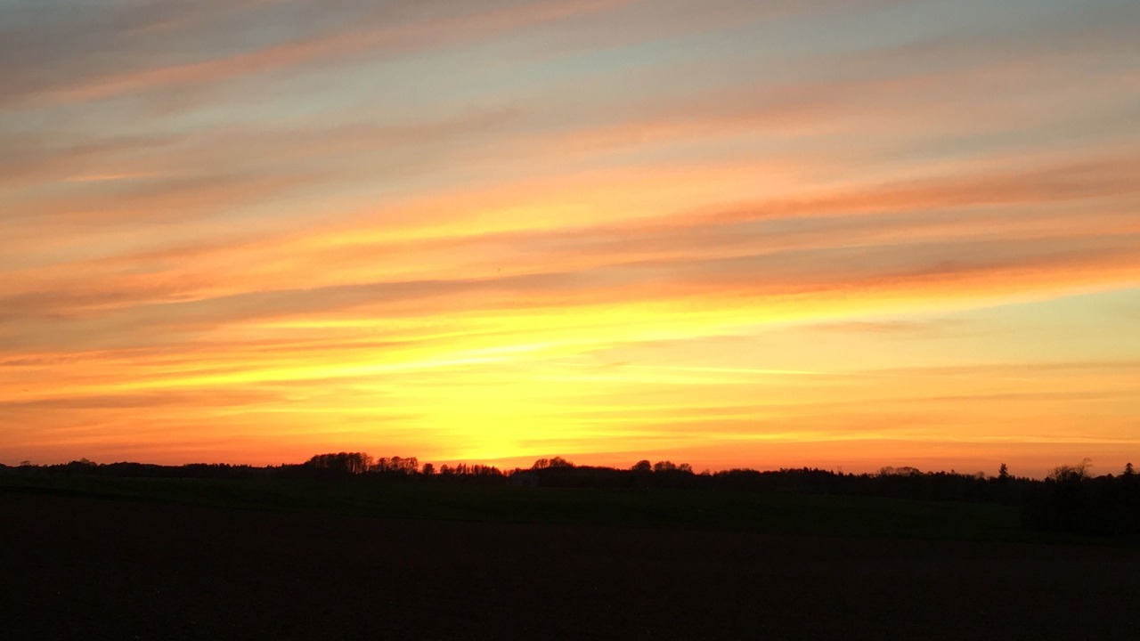 Photo of Others in Vejle